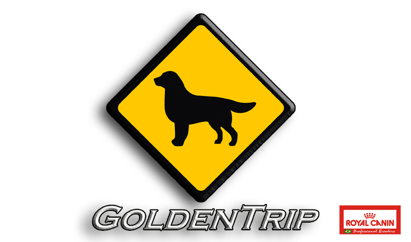 golden trip reclame aqui